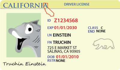 Licensia De Conducir